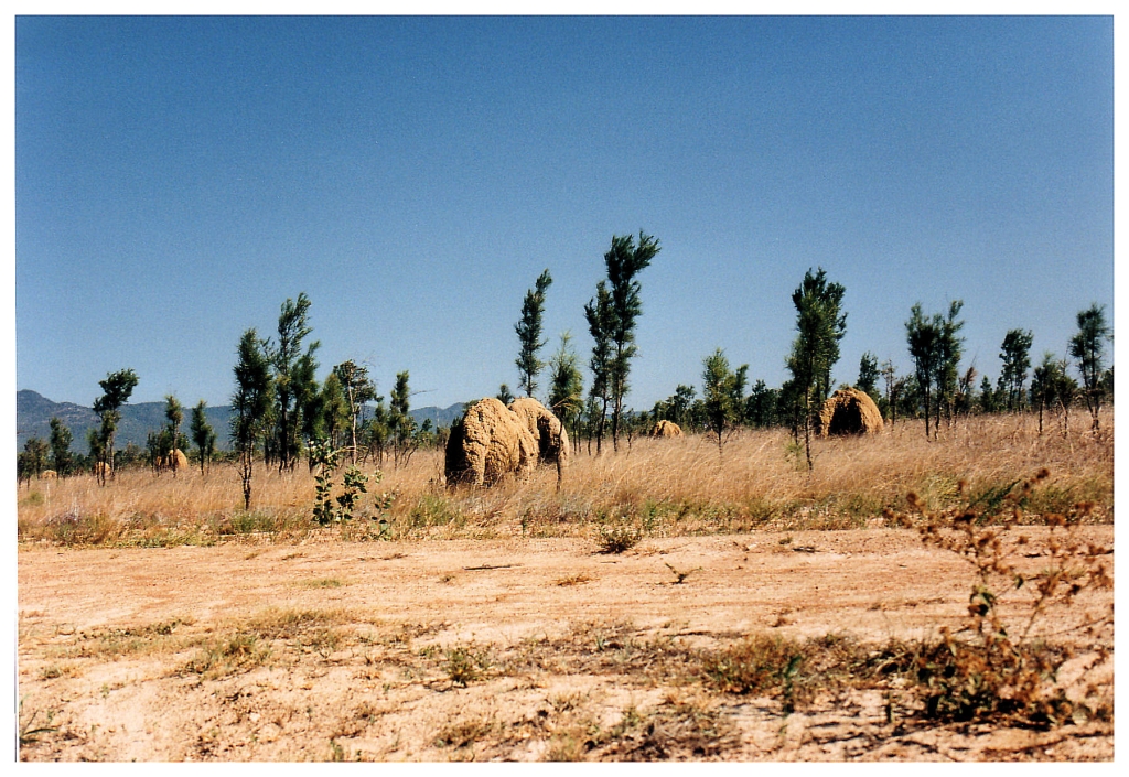 04 - Queensland (56).jpg